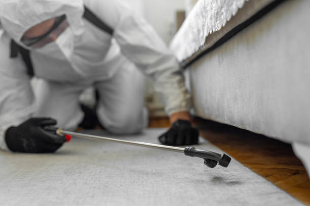 Professional Wasp Control technician working in New Lebanon, OH