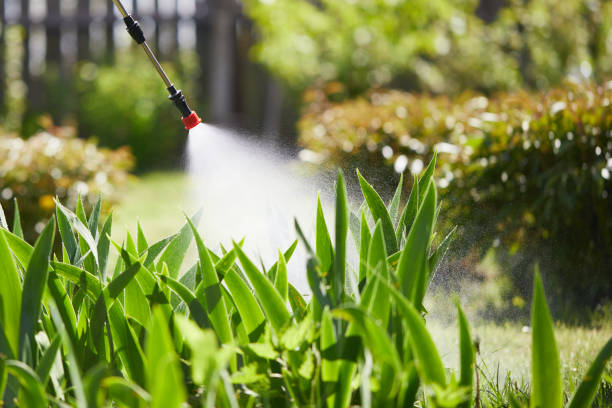 24/7 Emergency Ant Control experts in New Lebanon, OH