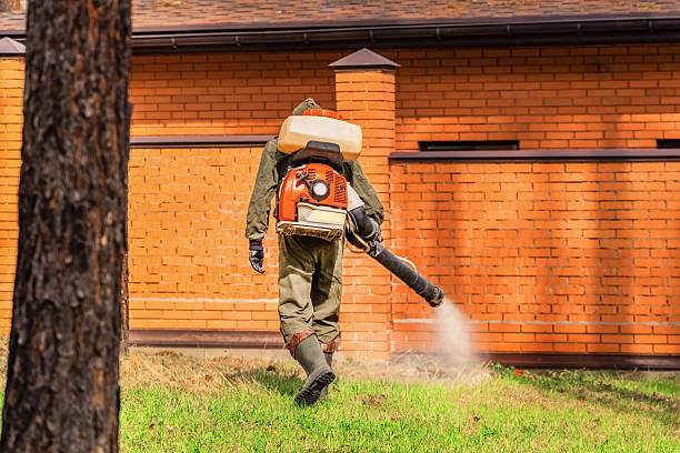 Trusted Cockroach Control service in New Lebanon, OH - Nex Pest Control